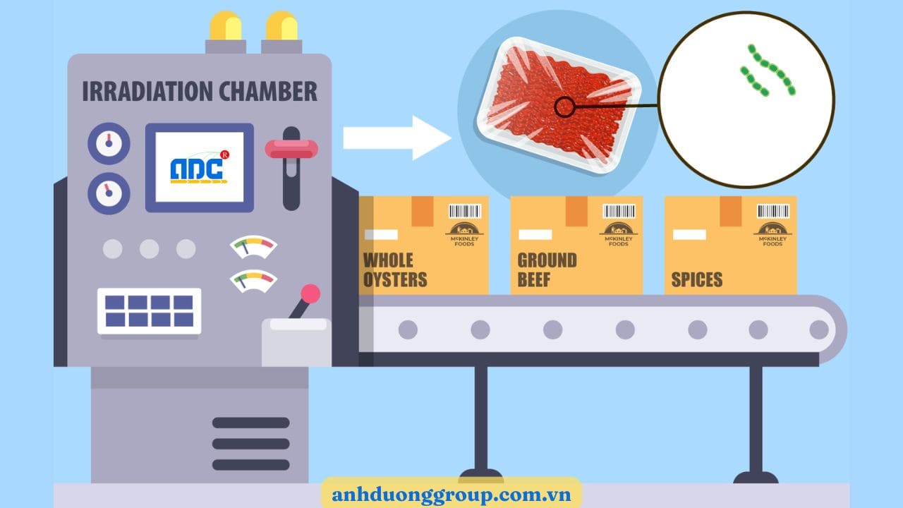 Quá trình chiếu xạ thực phẩm