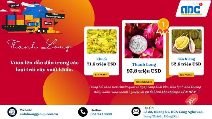 Thanh long dẫn đầu xuất khẩu trái cây những tháng đầu năm 2025