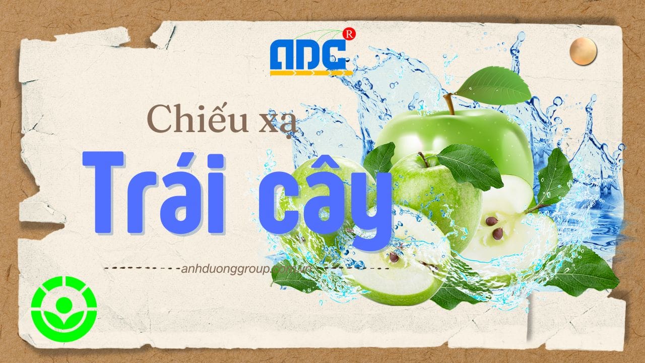Chiếu xạ trái cây an toàn bằng Ebeam