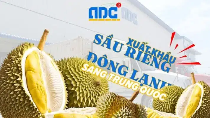 Xuất khẩu sầu riêng đông lạnh sang trung quốc
