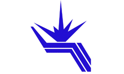 budker institute of nuclear physics